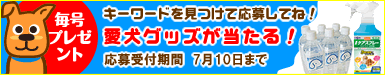 大好評！毎号プレゼント！ご応募はこちら！